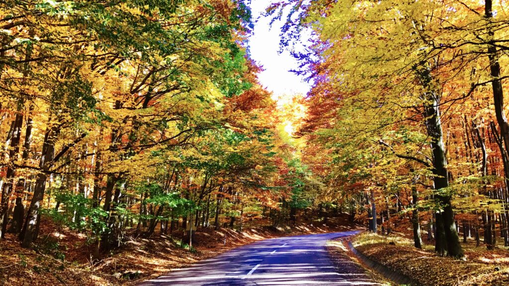 A 10 legkedveltebb motoros útvonal hazánkban 1 matra scaled 1