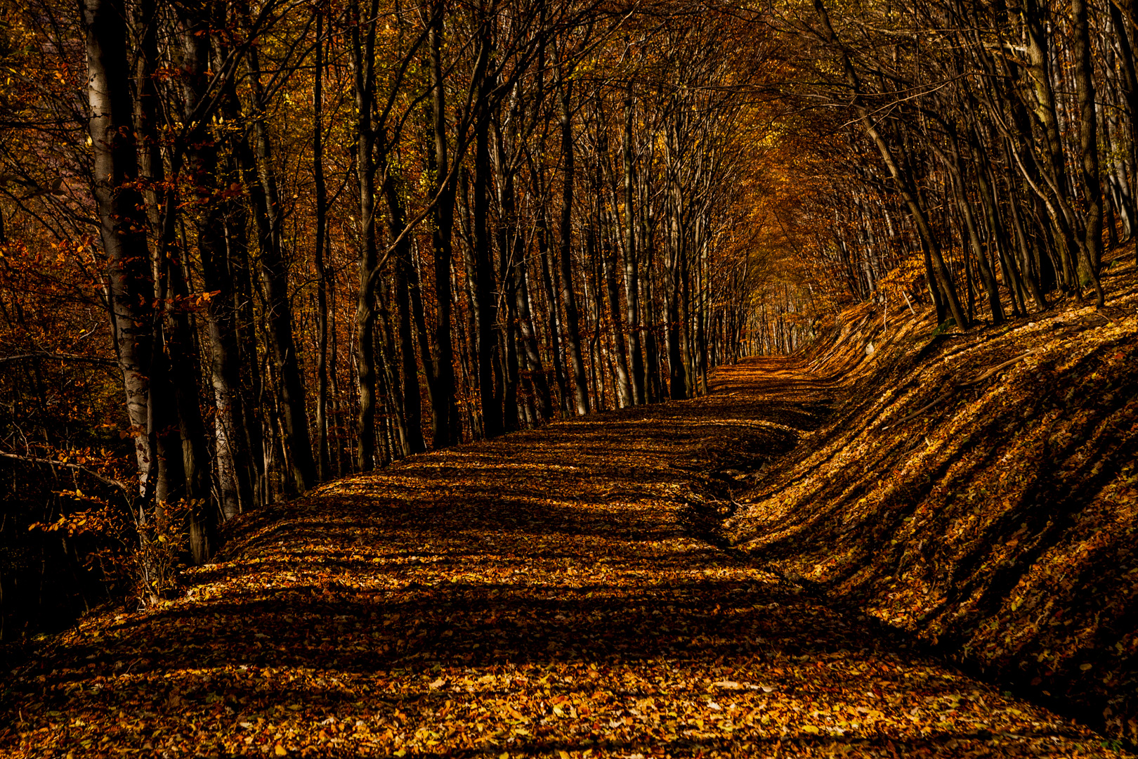 A 10 legkedveltebb motoros útvonal hazánkban 5 pilis
