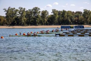 Rowers in a competitive race on a sunny day at the lake, showcasing strength and teamwork.